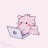 cat intensely coding